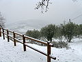 Nevicata in marzo a Monte Morello