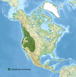 Reliefkarte Nordamerikas mit grün eingezeichneter Verbreitung