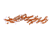 2pft: The Crystal Structure of Mouse Exo70 Reveals Unique Features of the Mammalian Exocyst