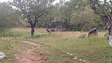 This slave camp was found in 1704.