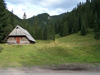 Szałas na polanie Huciska