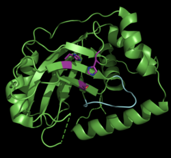 Monomeres Assemblin