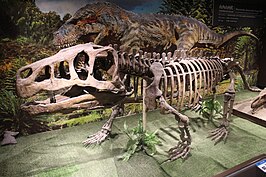 Shansisuchus