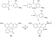 A is the "open" form and B is the "closed" form