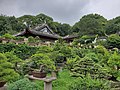 Penjing Collection