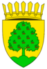 Coat of arms of Trușeni