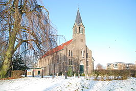 De Sint-Willibrorduskerk