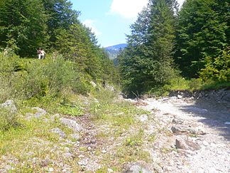 Felsweißach in der Wolfsschlucht