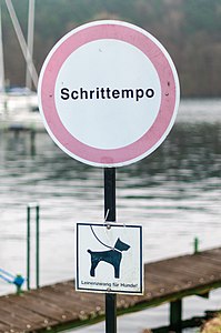 Hunde bitte nicht im Galopp!