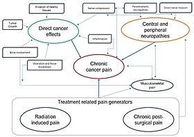 Diagram showing the different mechanisms of cancer pain