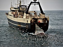 Tråleren «Steintór» av Hvalba. Foto: Erik Christensen