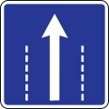 Driving direction in the lane (proceed straight)