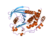 2bij: CRYSTAL STRUCTURE OF THE HUMAN PROTEIN TYROSINE PHOSPHATASE PTPN5 (STEP, STRIATUM ENRICHED ENRICHED PHOSPHATASE)