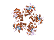 2ger: Crystal Structure and Oxidative Mechanism of Human Pyrroline-5-carboxylate Reductase