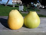 Pomelo