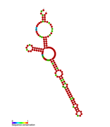 Listeria snRNA rli48: Predicted secondary structure taken from the Rfam database. Family RF01479.