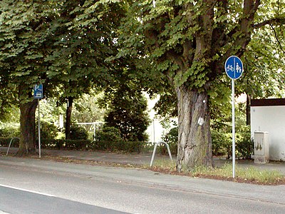 Endlich legal: Radwege zu Parkplätzen