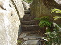 Rock stairs at Collaroy Plateau