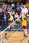 Women's volleyball team v Texas A&M, 2013