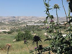 Palestinian village of Beit Awwa opposite Shekef, across from West Bank Separation Wall