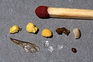 Παραδείγματα αποβλήτων που πέφτουν στο πάτωμα της κυψέλης. Η έρευνα των αποβλήτων δίνει μια ένδειξη της υγείας των μελισσών. Εδώ φαίνεται, από τα απόβλητα στη μεσαία σειρά χαμένων πακέτων γύρης από διαφορετικά φυτά, στην κάτω σειρά ένα φτερό μέλισσας, τρεις πρόσφατα εκκρινόμενες νιφάδες κερί (αρχικά λευκές και σχεδόν διαφανείς, εφ 'όσον αυτές δεν χρησιμοποιούνται για την κατασκευή κηρηθρών) και ένα άκαρι βαρρόας.