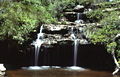 Frederica Falls, Lawson area