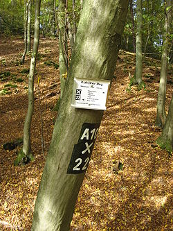 Wegmarkierung im Naafbachtal