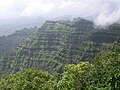 14:50, 7 अगस्त 2008 के संस्करण का थंबनेल संस्करण