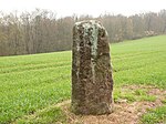 Menhir von Mittelbrunn