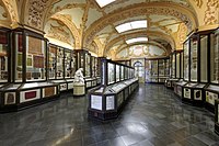 Civic Museum of Modena