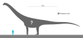 Size comparison