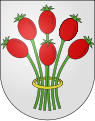 Wappen Markt Einersheim.svg