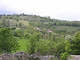 Meadow in spring