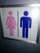 This restroom sign on an All Nippon Airways Boeing 767-300 uses pink for the female gender and blue for the male gender.