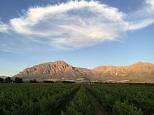 View of the mountains in the Breedekloof