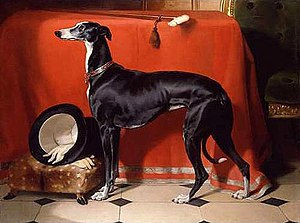 Edwin Landseer (1802-1873): Eos, A Favorite Greyhound of Prince Albert (1841)