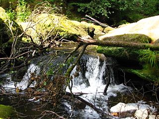 Die Irreler Wasserfälle bei Niedrigwasser (2011)