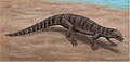 Montsecosuchus depereti