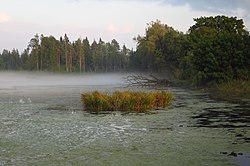 Nõmme Veskijärv, a lake in Nõmme