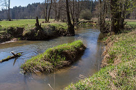 Pegnitz im NSG