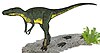 Nanotyrannus