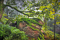 Bemooste Felsen bei Dollberg: Wildnis für Naturliebhaber. Der Park hat auch Freizeitfunktionen.