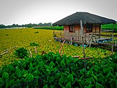 Tagalag Fishing Village