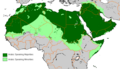 Arabic Language distribution