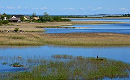 Het Meer van Pskov bij Lüübnitsa