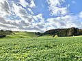 Landschaft um Wickesberg (im Bild hinten links)