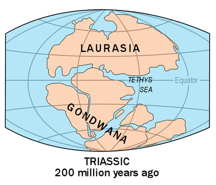 Godwana supercontinent