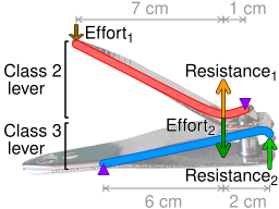 Nail clipper compound lever.svg 20:40, 5 February 2013