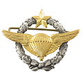 Parachutist Badge