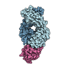 Atezolizumab